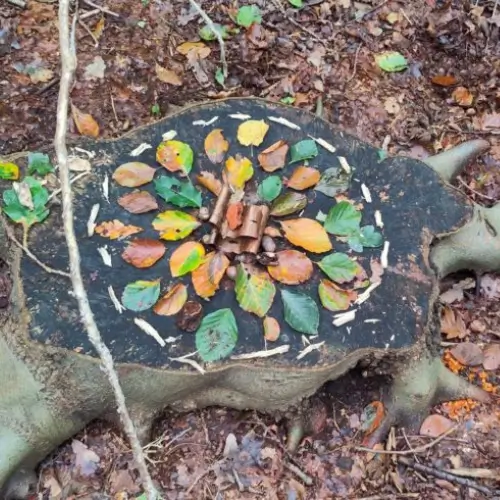 Marieke op het Strand, HSP, Den Haag, Marieke Verkerk, Intuïtie, cursus, Heel de natuur in jou, workshop, H.I.P, hooggevoelig, luisterkind, luisterkind-afstemming, aarden, gronden, aardingsproducten, Earthing Nederland, kortingscode, alternatief advent vieren, bijenvoedselbank, Pollinators, voor jezelf zorgen, healing garden, lifecoach, bomen, levensvragen, bodem, geboortebegeleiding, HSP Cursus Loslaten, EHB(h)O-Toolkit, moe zijn, Healing Garden, helend veld, Healing Garden sessie, healing garden coaching, challenge, Verbind je met de natuur in jou, natuurpiramide, Heel de natuur in jou, individueel traject, betekenisvol leven, De Helende Tuinvrouw, Helende verbinding met je tuin, helende tuin, verbind je met je tuin, hoogsensitief, masterclass luisteren naar je tuin, Jane Goodall, e-book, neurodivergent brein,