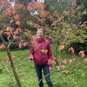 Marieke op het Strand, HSP, Den Haag, Marieke Verkerk, Intuïtie, Heel de natuur in jou, hooggevoelig, luisterkind, luisterkind-afstemming, aarden, gronden, aardingsproducten, Earthing Nederland, kortingscode Earthing Nederland, alternatief advent vieren, voor jezelf zorgen, healing garden, levensvragen, geboortebegeleiding, levensbrugafstemming, HSP Cursus Loslaten, moe zijn, Healing Garden, helend veld, healing garden coaching, Verbind je met de natuur in jou, natuurpiramide, Heel de natuur in jou, individueel traject, betekenisvol leven, De Helende Tuinvrouw, Helende verbinding met je tuin, helende tuin, verbind je met je tuin, hoogsensitief, masterclass luisteren naar je tuin, e-book voor meer rustmomenten met de natuur, neurodivergent brein, healing garden energie, , communiceren met planten, communiceren met de tuin, natuurwezens, deva's, Atlantis tuin, Atlantis energie, Lemurie tuin, lemurie energie, Orion, 1-op-1 traject, zingeving, levensvragen, hoogsensitiviteit, helende tuinvrouw, healing garden energie,